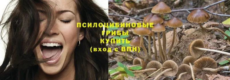 даркнет сайт  Алексин  Галлюциногенные грибы Psilocybe 